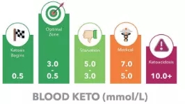 Apparecchio medico elettronico del tester del chetone di Digital dell'attrezzatura medica dall'esposizione LCD