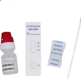 Corredo dell'esame del sangue di leptospirosi
